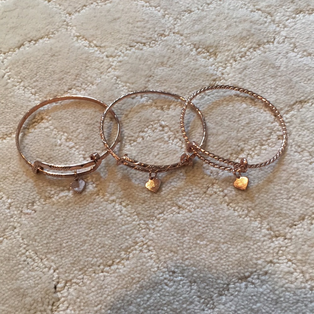 NWOT America the Beautiful